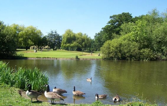 West Middlesex GC Friday 22nd May